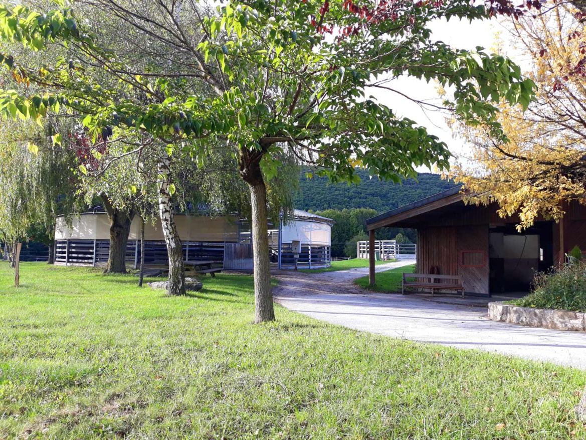 Les Écuries du Bois Clos, centre équestre et écurie de propriétaires dans le pays de Gex Les Écuries du Bois Clos, centre équestre et écurie de propriétaires dans le pays de Gex