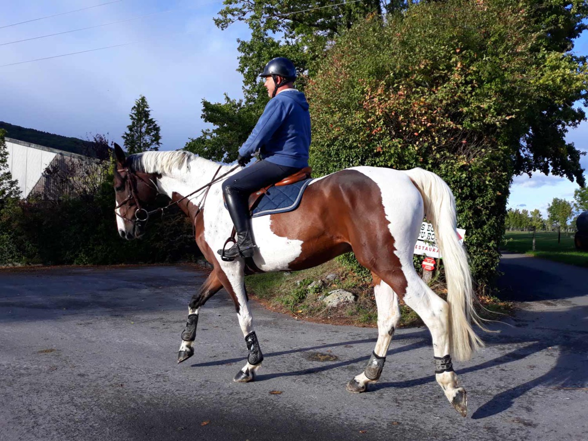 Les Écuries du Bois Clos, centre équestre et écurie de propriétaires dans le pays de Gex Les Écuries du Bois Clos, centre équestre et écurie de propriétaires dans le pays de Gex