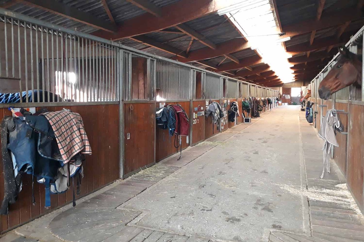 Les installations des Écuries du Bois Clos, centre équestre et écurie de propriétaires dans le pays de Gex Les installations des Écuries du Bois Clos, centre équestre et écurie de propriétaires dans le pays de Gex