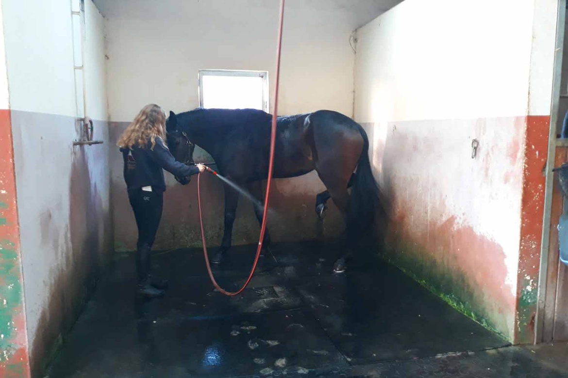 Les installations des Écuries du Bois Clos, centre équestre et écurie de propriétaires dans le pays de Gex Les installations des Écuries du Bois Clos, centre équestre et écurie de propriétaires dans le pays de Gex