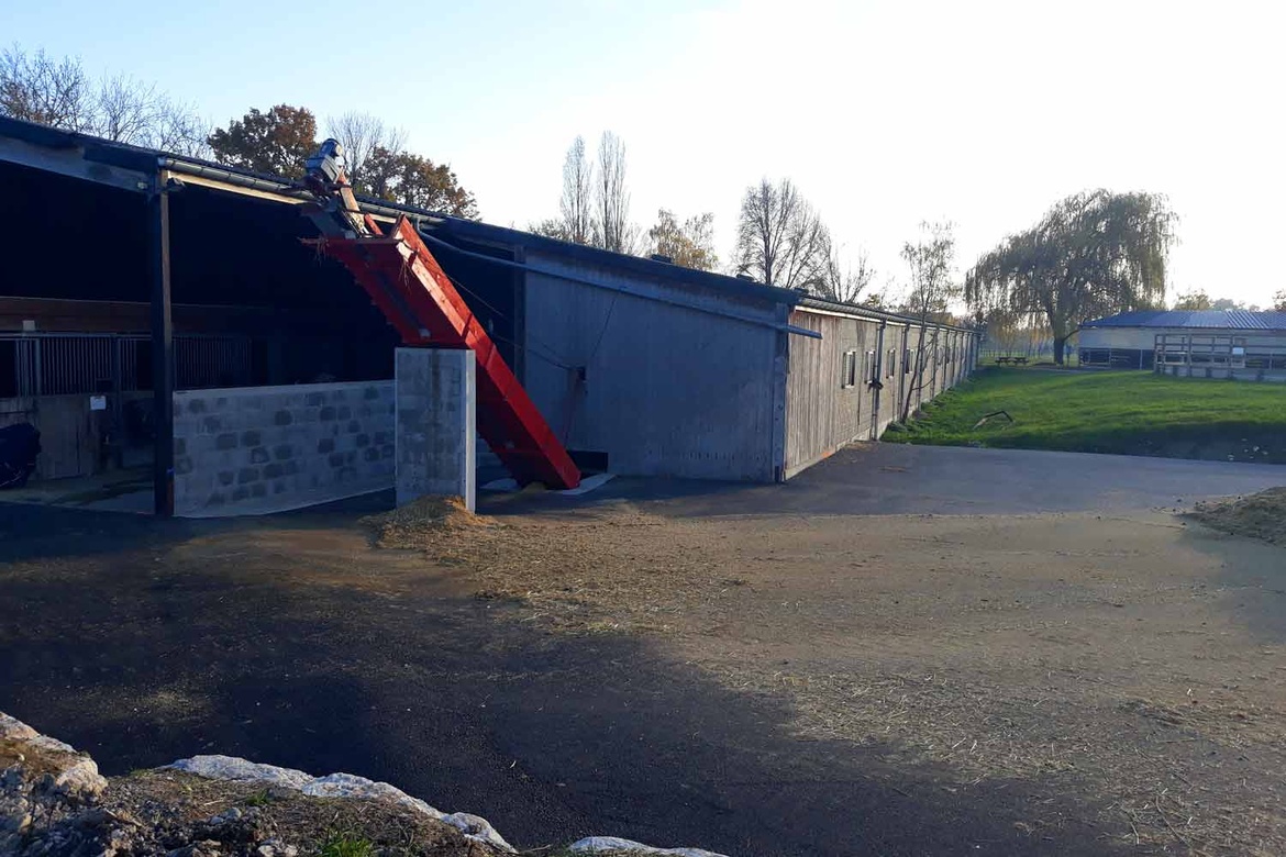 Les installations des Écuries du Bois Clos, centre équestre et écurie de propriétaires dans le pays de Gex Les installations des Écuries du Bois Clos, centre équestre et écurie de propriétaires dans le pays de Gex