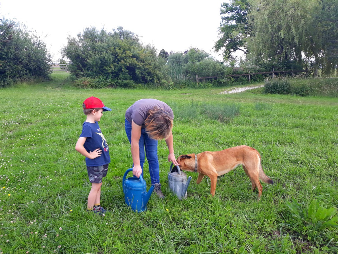 L'équipe de palefreniers des Écuries du Bois Clos, centre équestre et écurie dans le pays de Gex L'équipe de palefreniers des Écuries du Bois Clos, centre équestre et écurie dans le pays de Gex