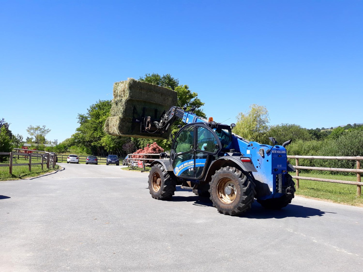 L'équipe de palefreniers des Écuries du Bois Clos, centre équestre et écurie dans le pays de Gex L'équipe de palefreniers des Écuries du Bois Clos, centre équestre et écurie dans le pays de Gex