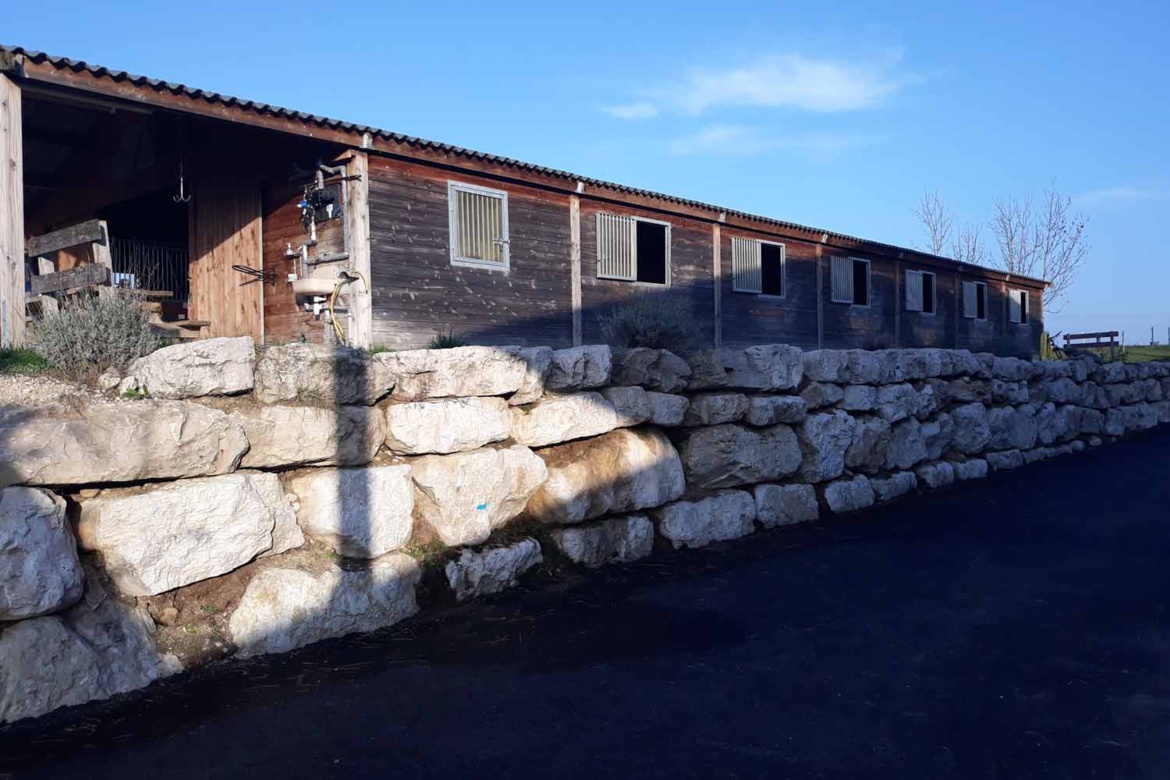 Barns des Écuries du Bois Clos, centre équestre et écurie de propriétaires dans le pays de Gex