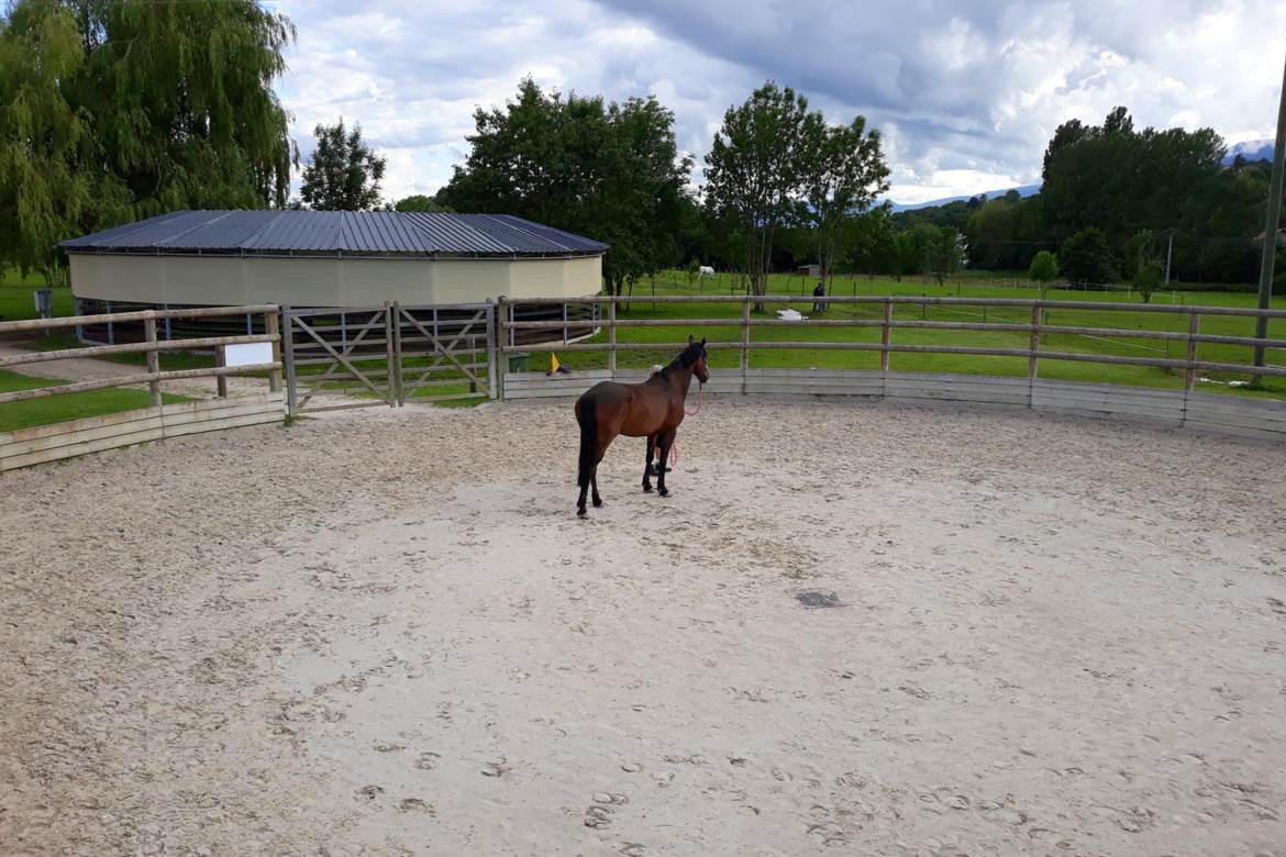 Le rond de longe des Écuries du Bois Clos, centre équestre et écurie de propriétaires dans le pays de Gex Le rond de longe des Écuries du Bois Clos, centre équestre et écurie de propriétaires dans le pays de Gex