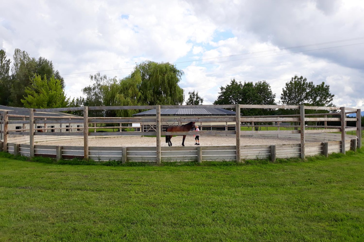 Le rond de longe des Écuries du Bois Clos, centre équestre et écurie de propriétaires dans le pays de Gex Le rond de longe des Écuries du Bois Clos, centre équestre et écurie de propriétaires dans le pays de Gex