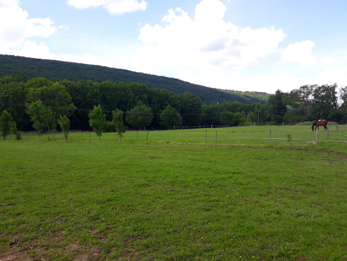 Parcs des Écuries du Bois Clos, centre équestre et écurie de propriétaires dans le pays de Gex Parcs des Écuries du Bois Clos, centre équestre et écurie de propriétaires dans le pays de Gex