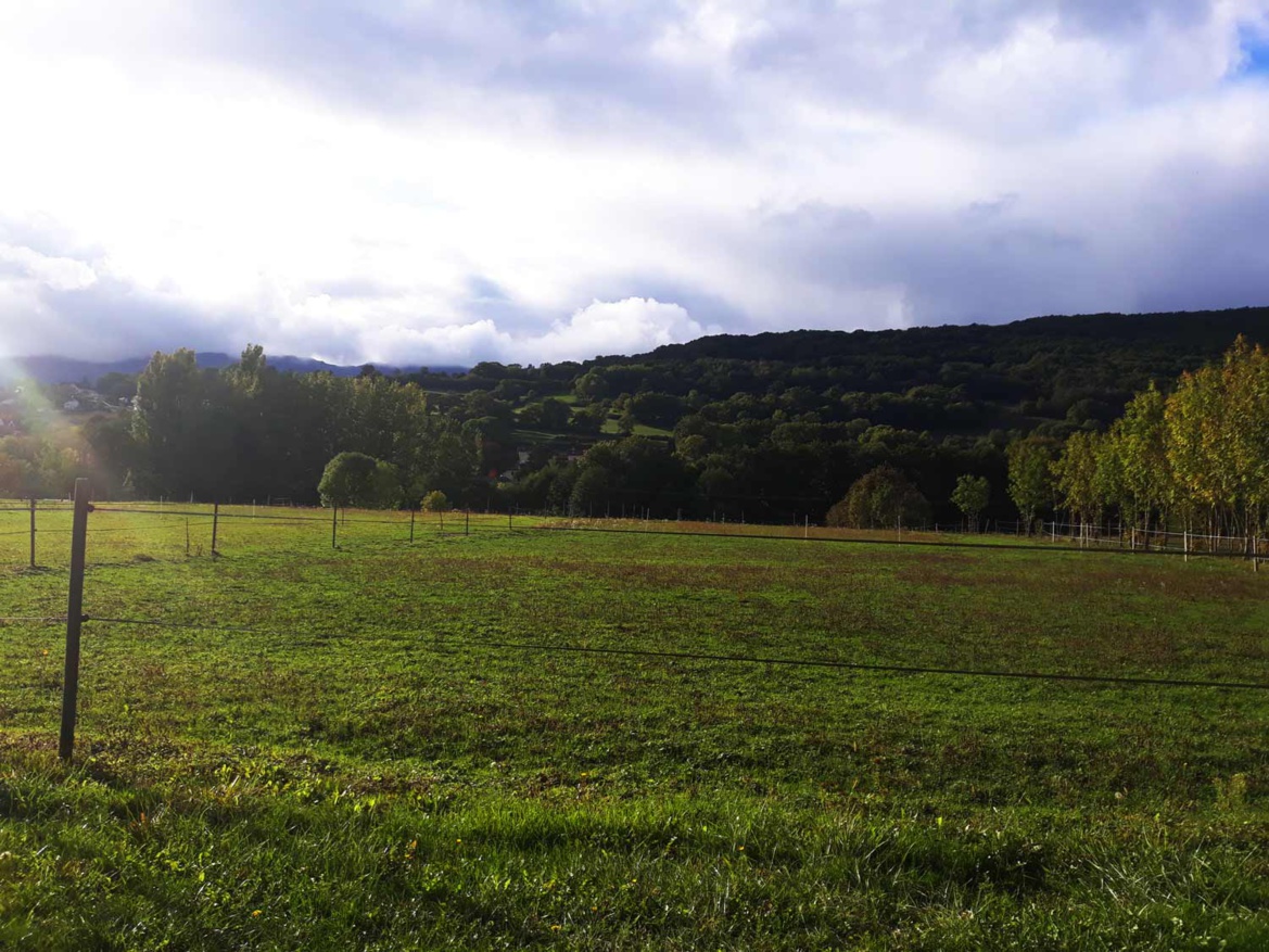 Parcs des Écuries du Bois Clos, centre équestre et écurie de propriétaires dans le pays de Gex Parcs des Écuries du Bois Clos, centre équestre et écurie de propriétaires dans le pays de Gex