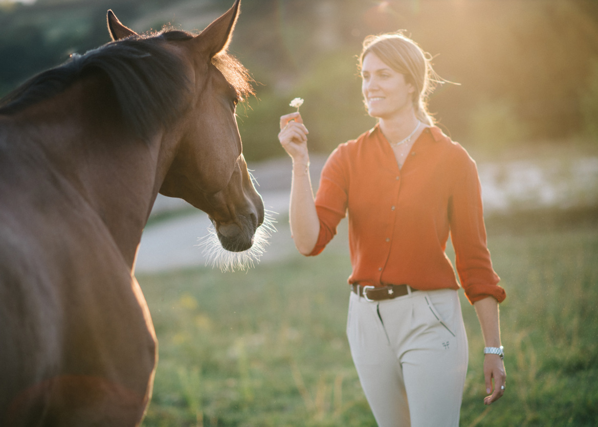 Les partenaires des Écuries du Bois Clos Les partenaires des Écuries du Bois Clos