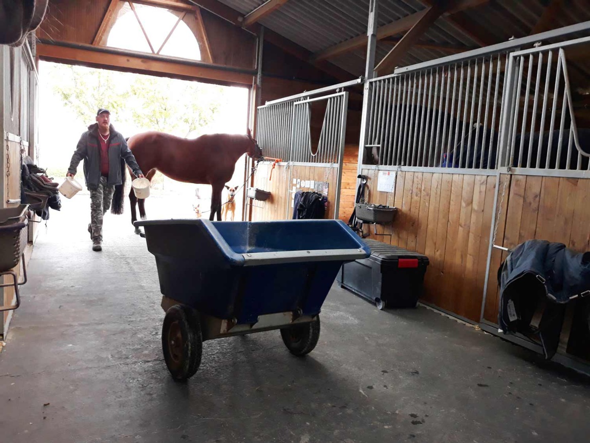Lunch time aux Écuries du Bois Clos : distribution de nourriture pour les chevaux dans notre centre équestre dans le Pays de Gex Lunch time aux Écuries du Bois Clos : distribution de nourriture pour les chevaux dans notre centre équestre dans le Pays de Gex