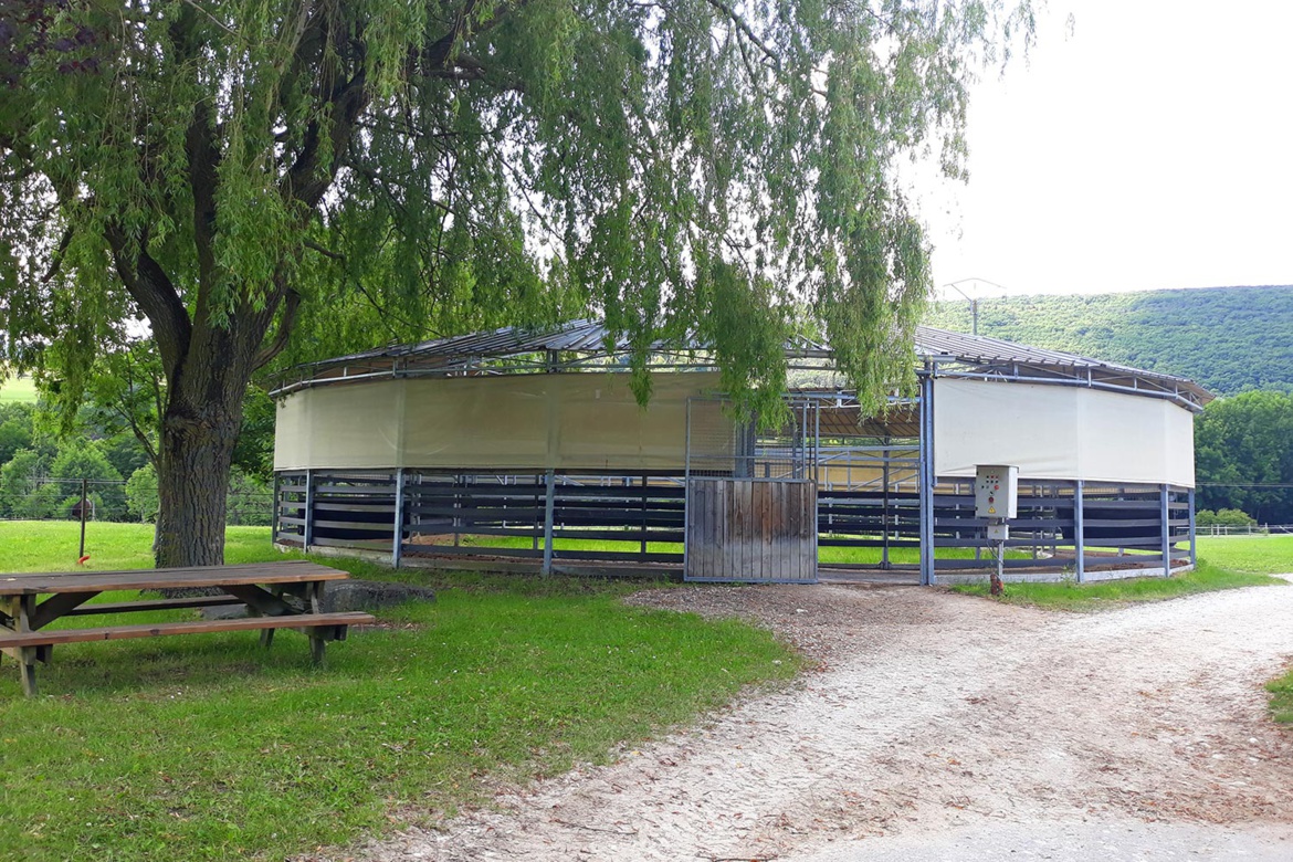 L'importance des sorties quotidiennes dans un centre équestre L'importance des sorties quotidiennes dans un centre équestre