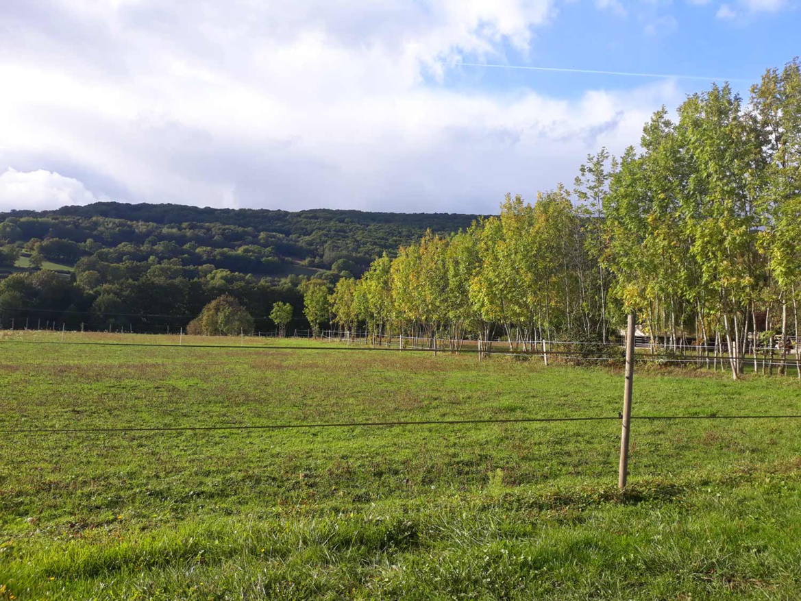 L'importance des sorties quotidiennes dans un centre équestre L'importance des sorties quotidiennes dans un centre équestre