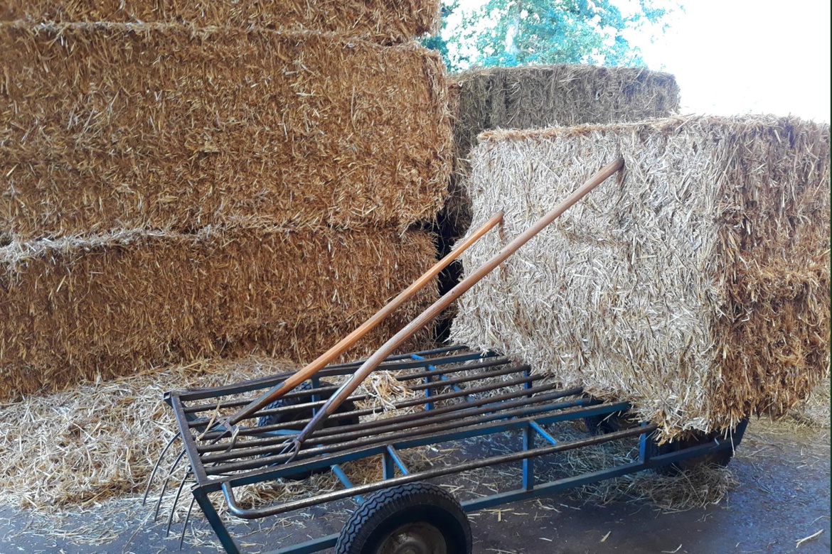 Entretien des box aux Écuries du Bois Clos, centre équestre dans le Pays de Gex Entretien des box aux Écuries du Bois Clos, centre équestre dans le Pays de Gex