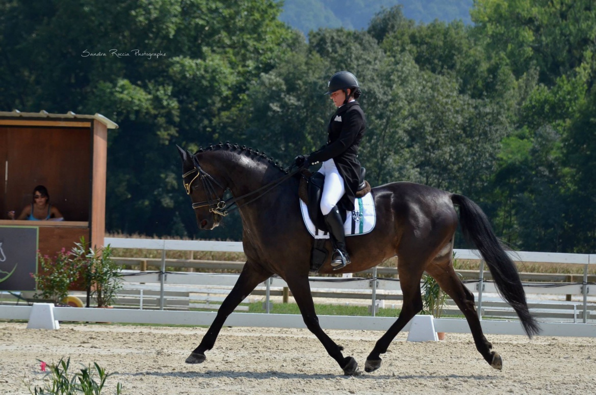 Dressage au Écuries du Bois Clos, centre équestre dans le pays de Gex