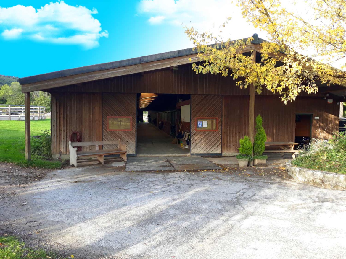 Bienvenue à tous, voici la première Newsletter des Écuries du Bois Clos ! Bienvenue à tous, voici la première Newsletter des Écuries du Bois Clos !