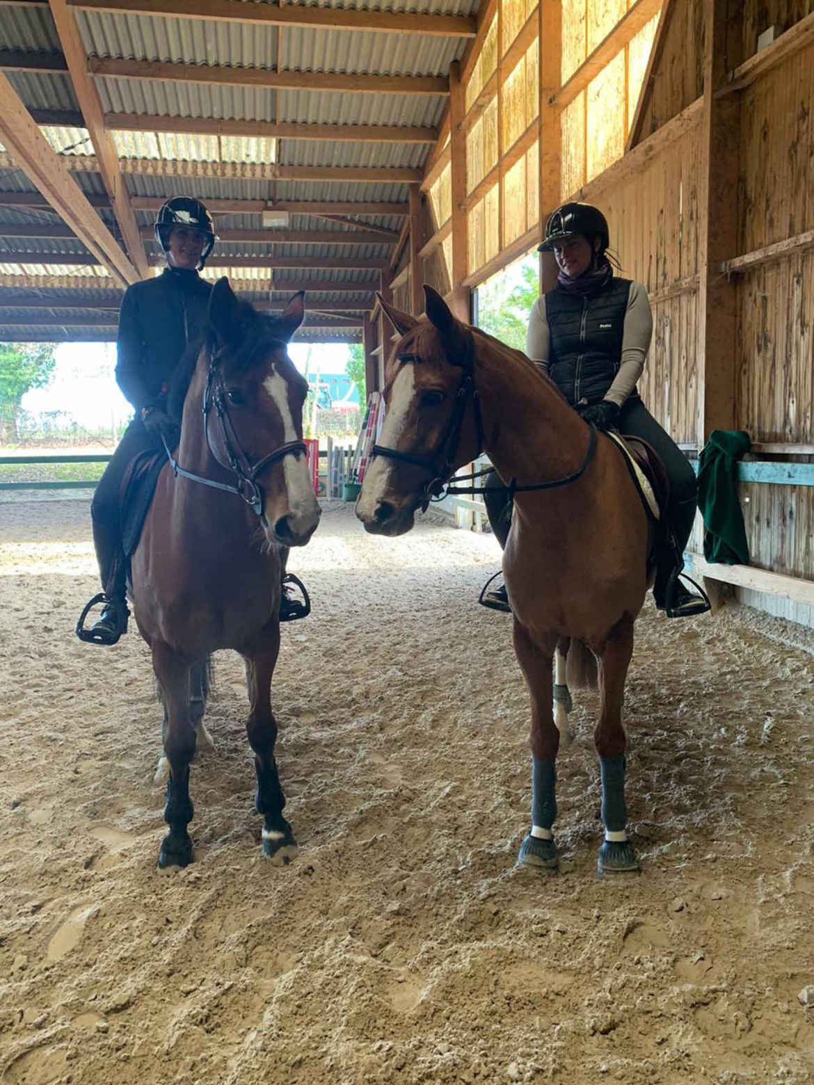 Stage avec le cavalier et entraîneur Jean Vesin aux Écuries du Bois Clos, centre équestre dans le pays de Gex Stage avec le cavalier et entraîneur Jean Vesin aux Écuries du Bois Clos, centre équestre dans le pays de Gex