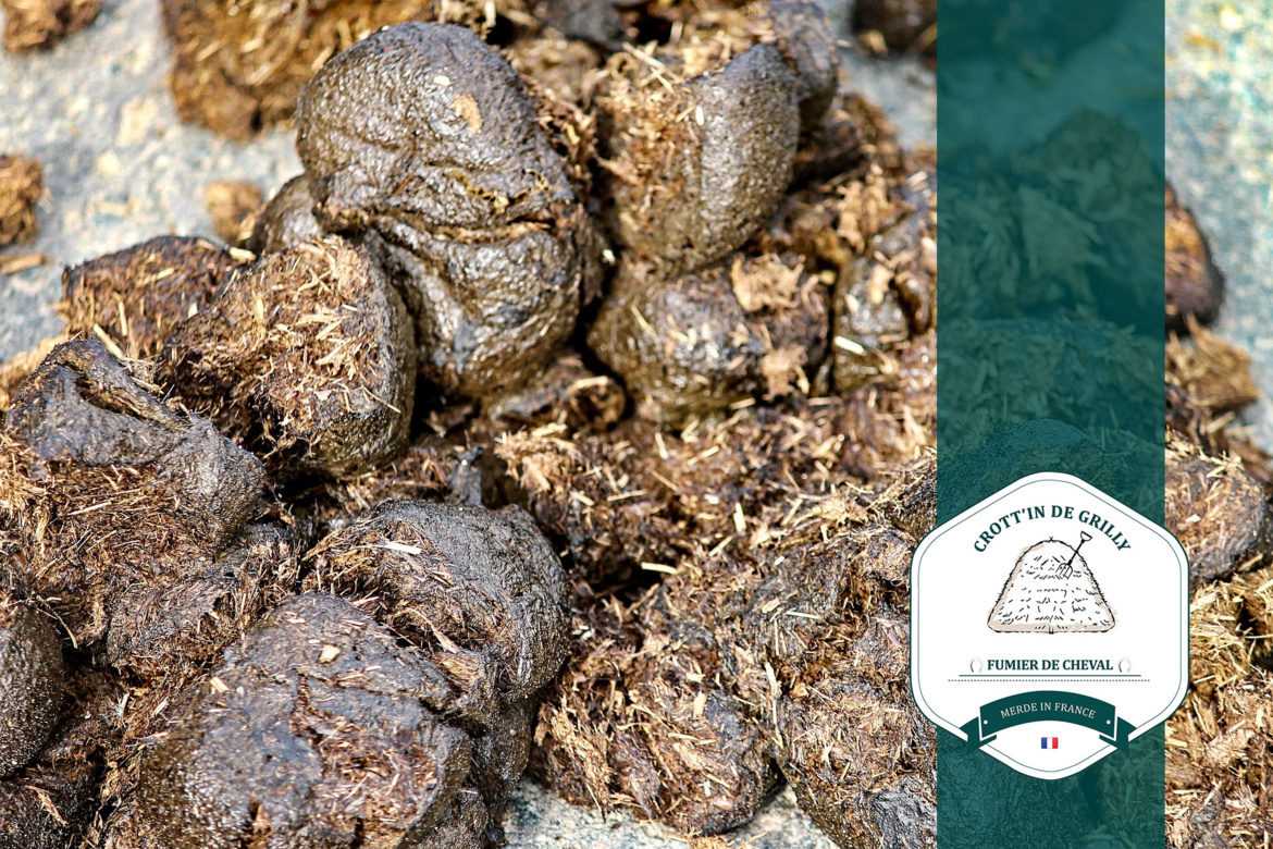 Découvrez le " Crott'in de Grilly ", fumier de cheval composté dans le pays de gex Découvrez le " Crott'in de Grilly ", fumier de cheval composté dans le pays de gex