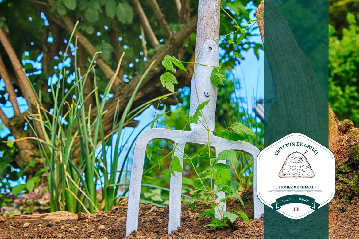Découvrez le " Crott'in de Grilly ", fumier de cheval composté dans le pays de gex Découvrez le " Crott'in de Grilly ", fumier de cheval composté dans le pays de gex