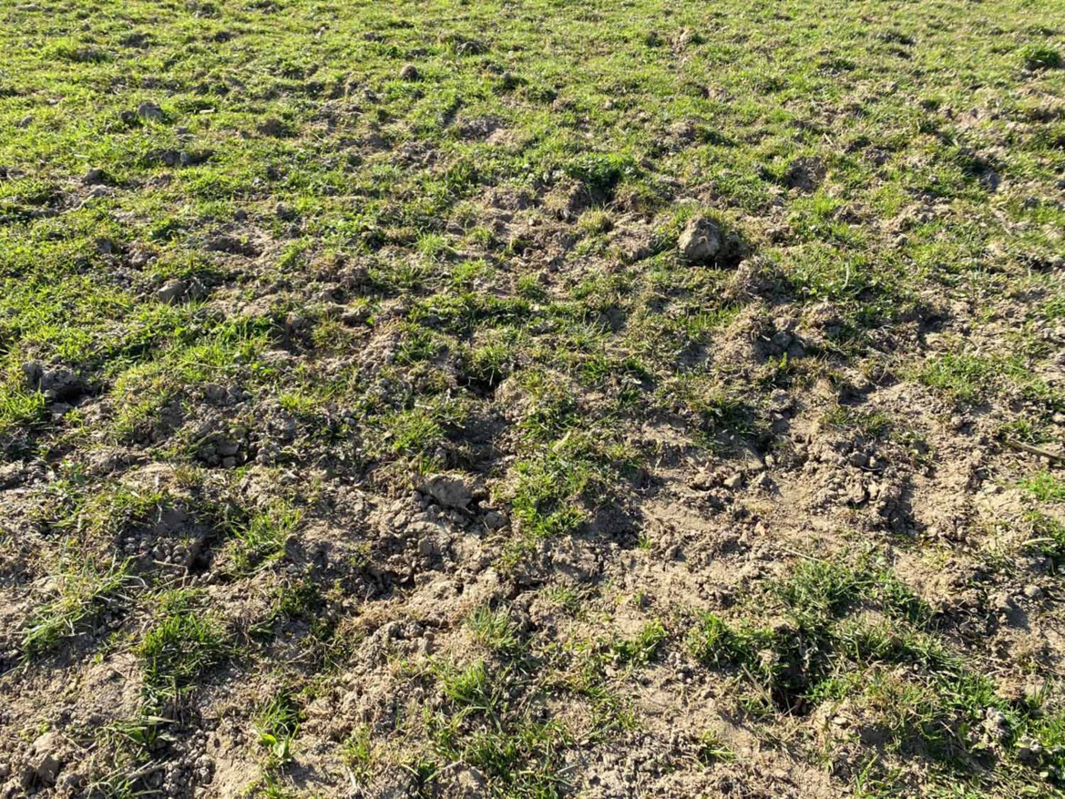 Entretien des parcs des Écuries du Bois Clos, centre équestre à 5 min de Divonne les Bains Entretien des parcs des Écuries du Bois Clos, centre équestre à 5 min de Divonne les Bains