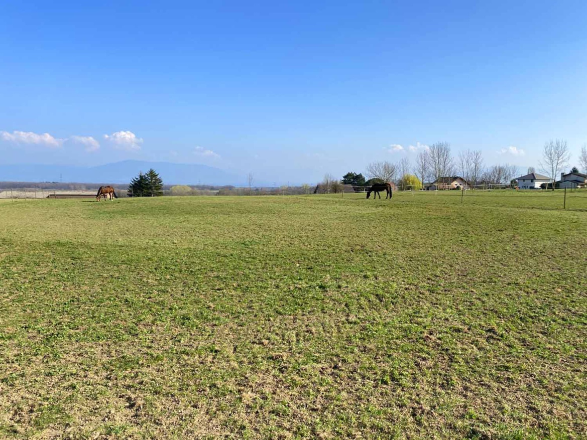 Entretien des parcs des Écuries du Bois Clos, centre équestre à 5 min de Divonne les Bains