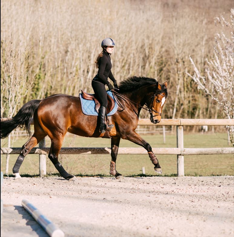 La meilleure manière de découvrir nos infrastructures est de prendre contact avec nous ! La meilleure manière de découvrir nos infrastructures est de prendre contact avec nous !