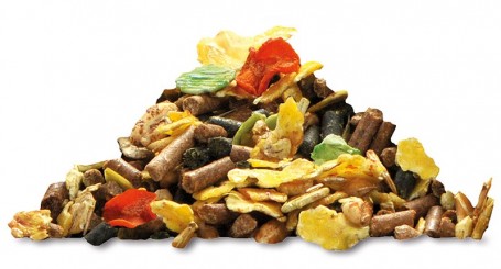 Alimentation aux Écuries du Bois Clos, centre équestre et écurie de propriétaires dans le pays de Gex Alimentation aux Écuries du Bois Clos, centre équestre et écurie de propriétaires dans le pays de Gex