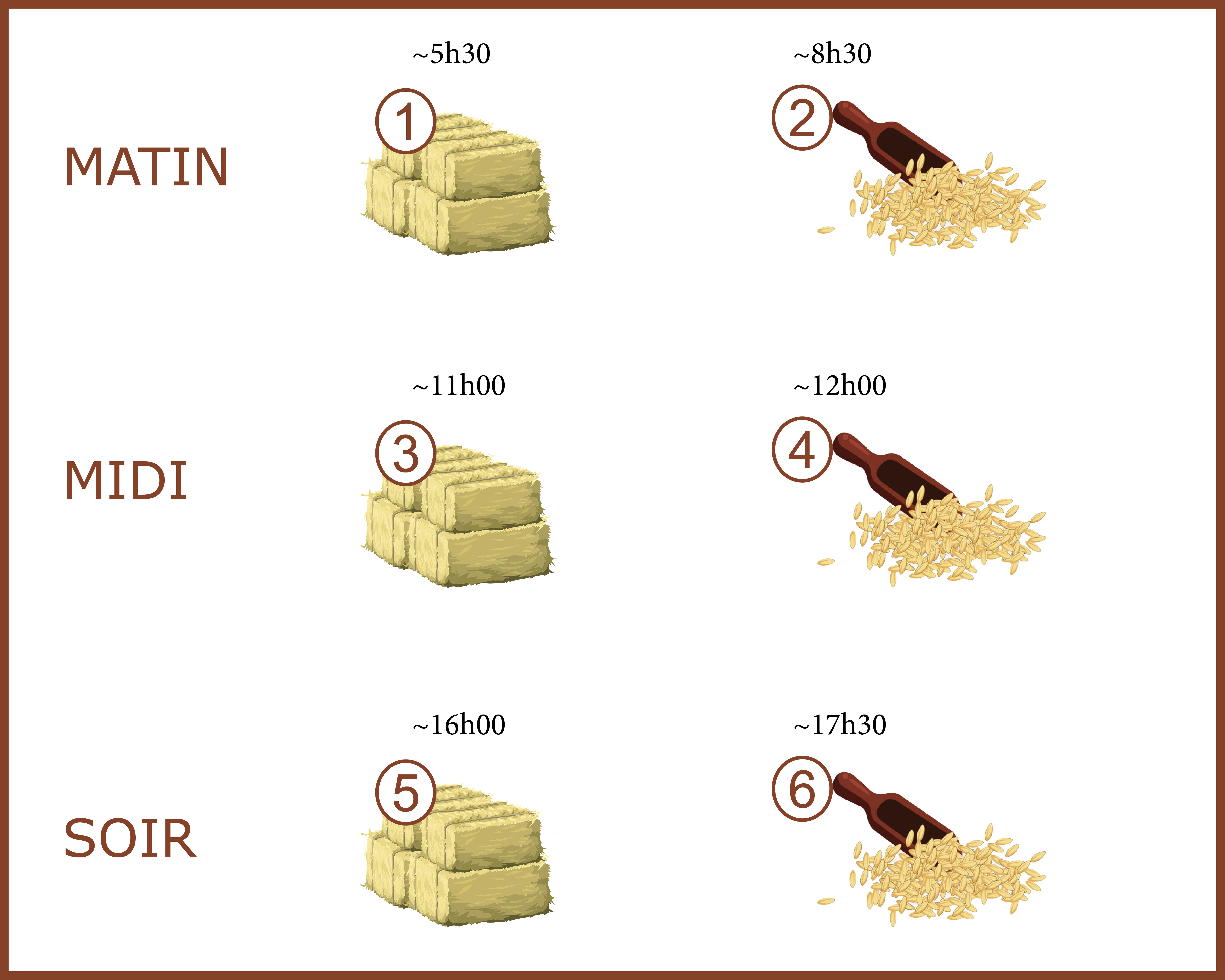 Alimentation aux Écuries du Bois Clos, centre équestre et écurie de propriétaires dans le pays de Gex