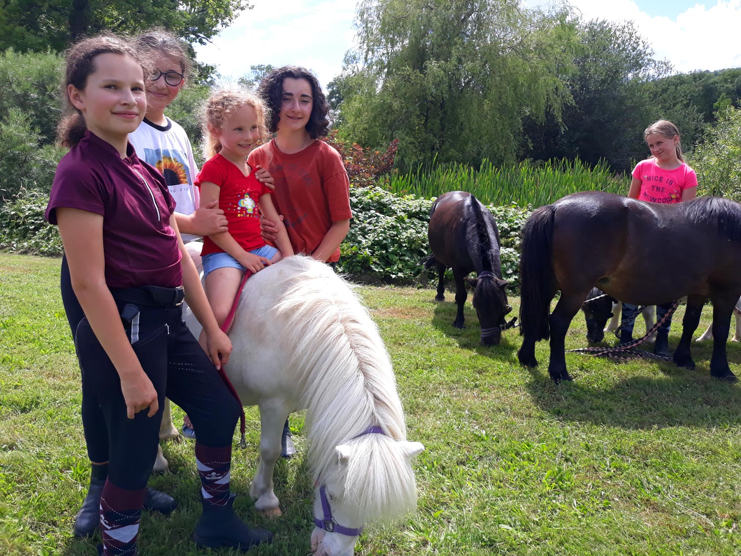 Poney Club les Écuries du Rosey, centre équestre dans le pays de Gex