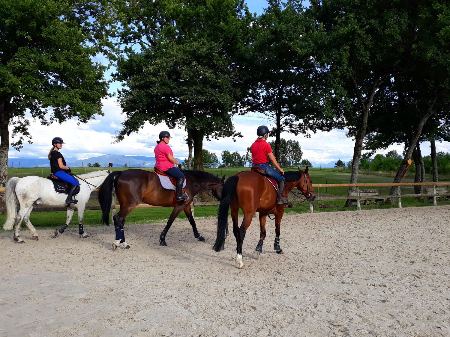 Cours d'équitation aux Écuries du Rosey, poney club dans le pays de Gex Cours d'équitation aux Écuries du Rosey, poney club dans le pays de Gex