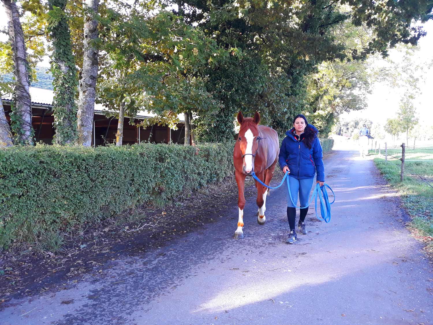 Marcher son cheval aux Écuries du Bois Clos, écuries de propriétaires dans le pays de Gex.