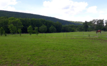 Parcs des Écuries du Bois Clos, centre équestre et écurie de propriétaires dans le pays de Gex