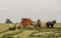 Alimentation aux Écuries du Bois Clos, centre équestre et écurie de propriétaires dans le pays de Gex