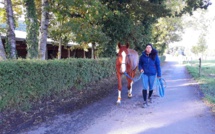 Marcher son cheval aux Écuries du Bois Clos, écuries de propriétaires dans le pays de Gex.