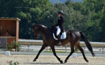 Dressage au Écuries du Bois Clos, centre équestre dans le pays de Gex