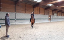 Stage de dressage avec Cedric Morandin pour les dresseurs de nos Écuries du Bois Clos